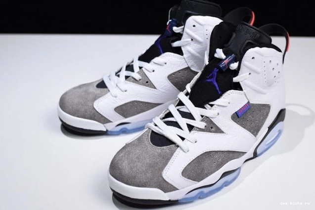 Cheap Air CI3125-100 Jordan 6 Grey Flint 0810
